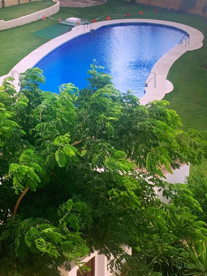 Lovely Beachfront Apartment In Calahonda Sitio de Calahonda 외부 사진